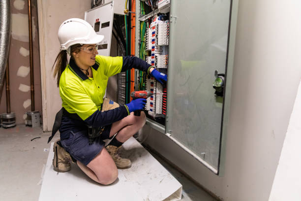 Best Electric Panel Repair  in Ladera Heights, CA